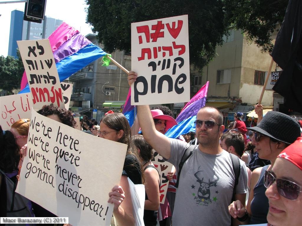 המצעד הרדיקלי. הדגל הביסקסואלי ומסרים נגד גזענות, קיפוח ואפלייה בתוך הקהילה (צילום: מאור ברזני)