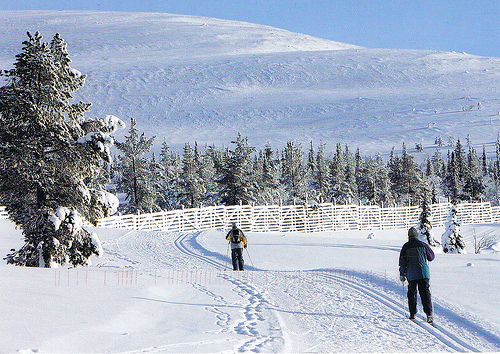 פינלנד בחורף. שקט חיצוני ופנימי. (צילום: mornby)