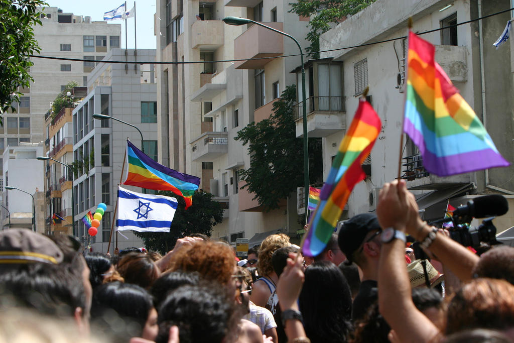 גאווה ישראלית ספר חדש (צילום: nivs)