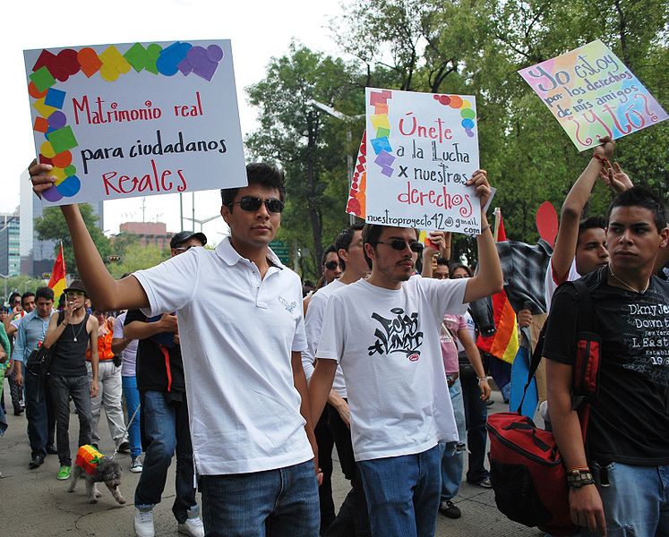 תובעים זכויות במצעד הגאווה במקסיקו סיטי, 2009. צילום: Thelmadatter